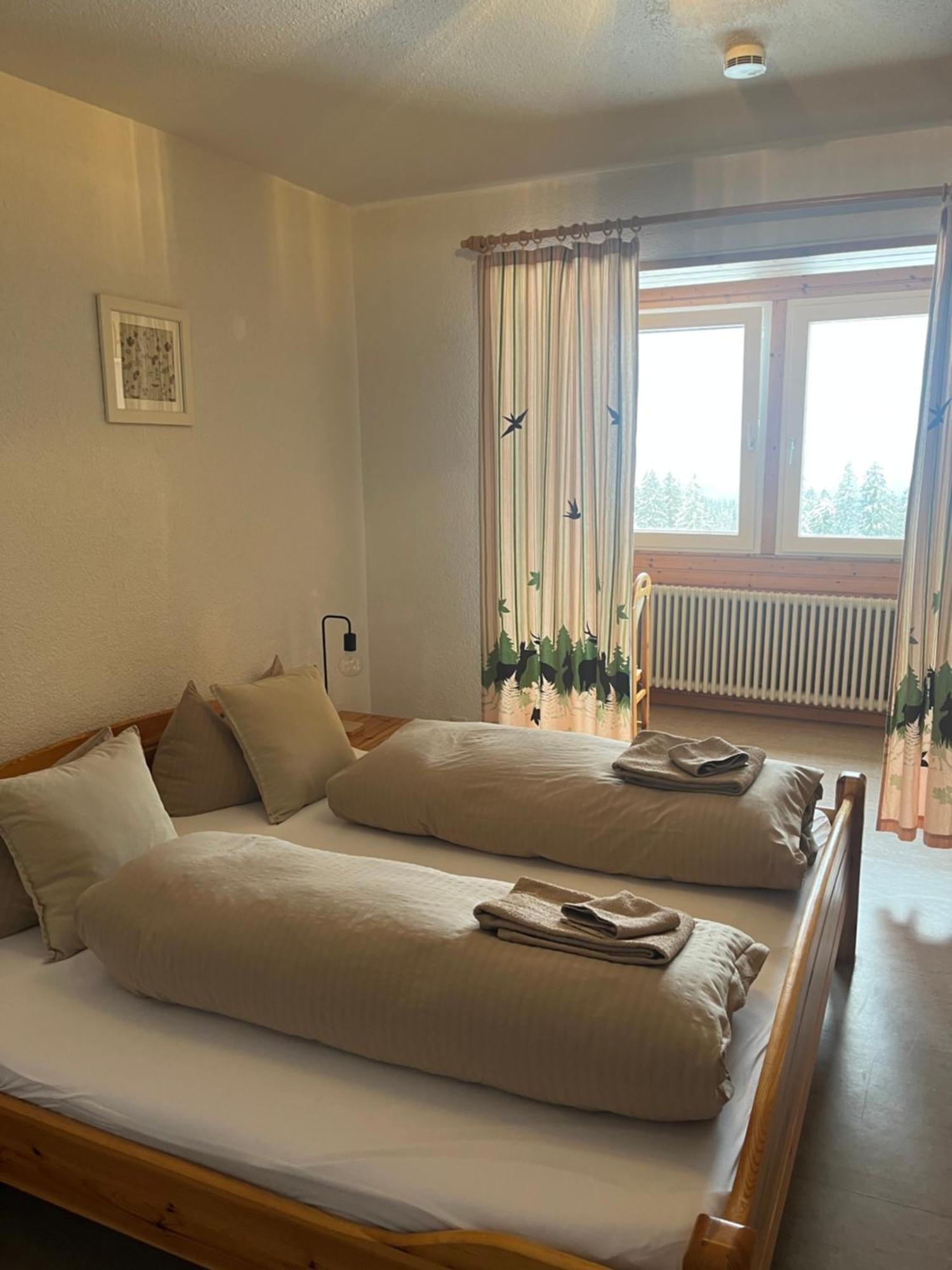 Berggasthof Zur Todtnauer Huette Feldberg  Kültér fotó